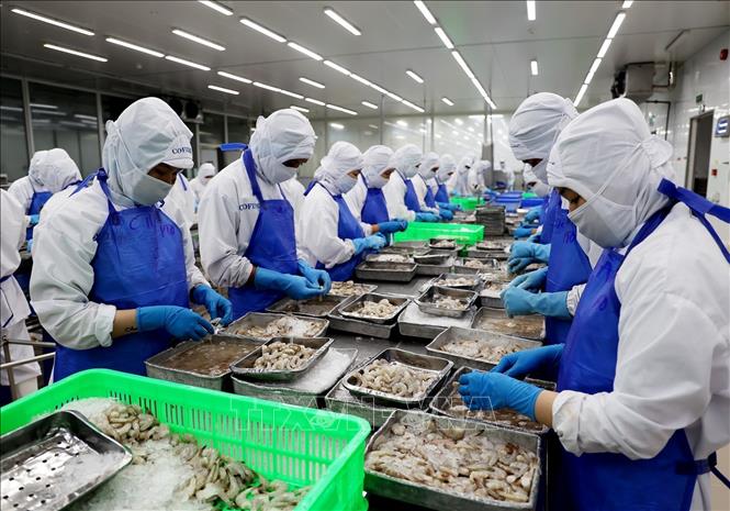 Xuất khẩu thủy sản quý I đạt 1,85 tỷ USD